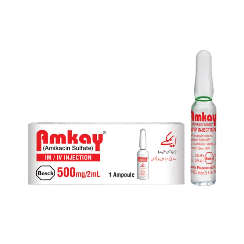 Amkay Injection 500Mg/2Ml