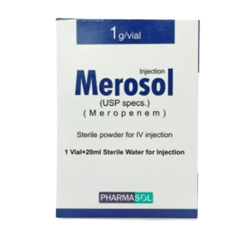 Merosol 1g Injection